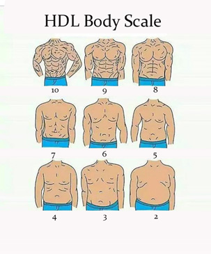 HDL Body Scale Male